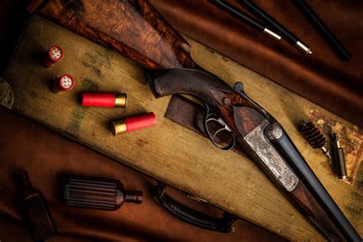 2. Shotgun