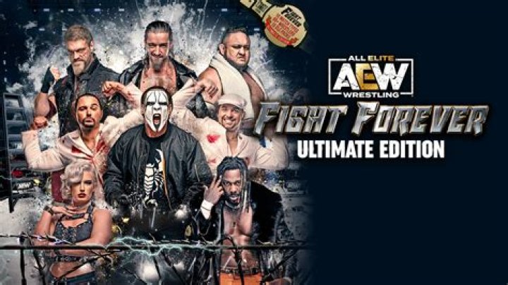 AEW Fight Forever Game Over Budget, Cut Features?