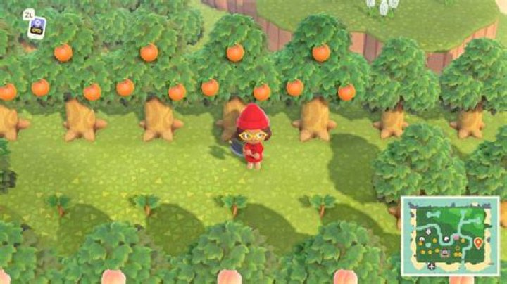 
Animal Crossing: New Horizons – Why Your Trees Aren’t Growing