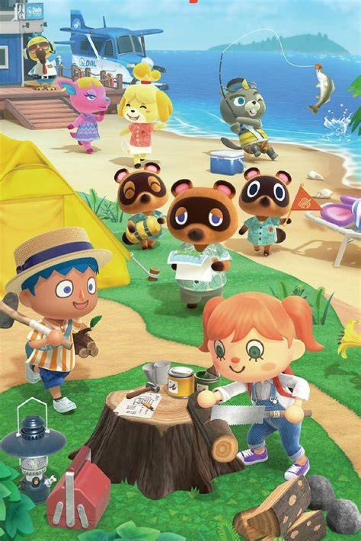 Animal Crossing: New Horizons 'You can't join at this time because the destination locale is full' fix