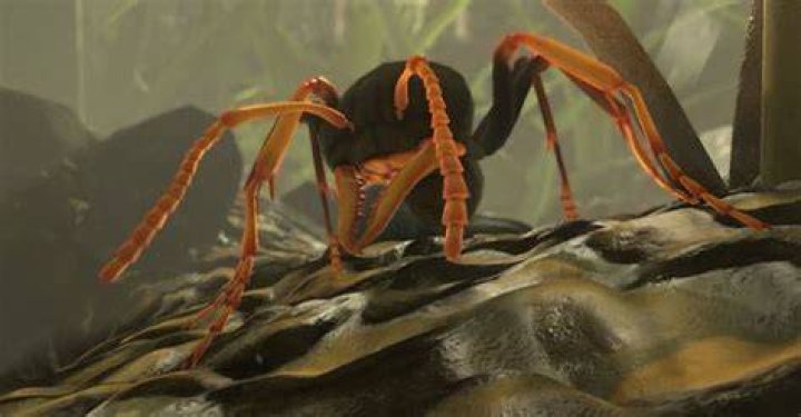 
Ant Simulator Crowdfunding Cash Blown On Booze And Strippers