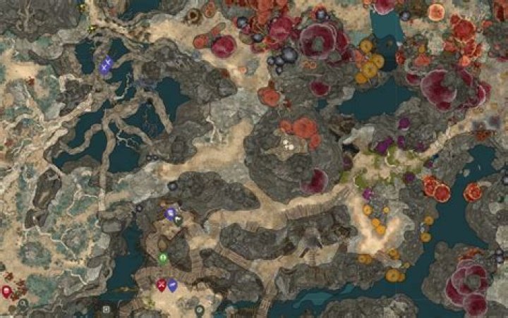 Baldur's Gate 3 House With Flowers Bug: How to Clear Quest Map Marker