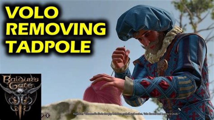 Baldur's Gate 3: Should I Allow Volo to Try and Remove the Tadpole?