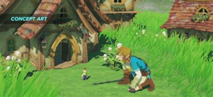 BotW1