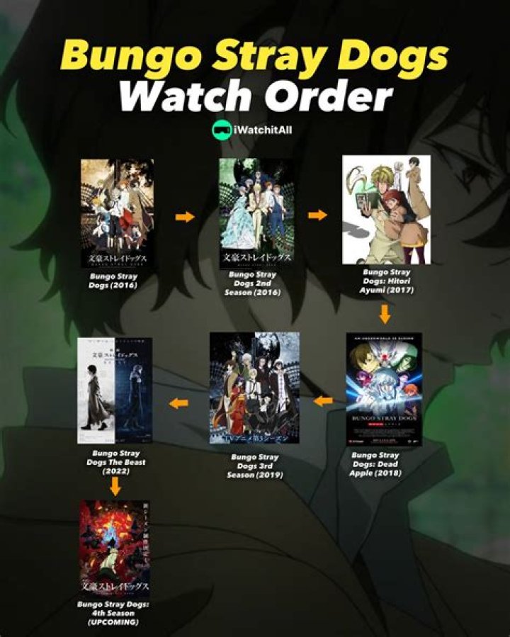 Bungo Stray Dogs Watch Order