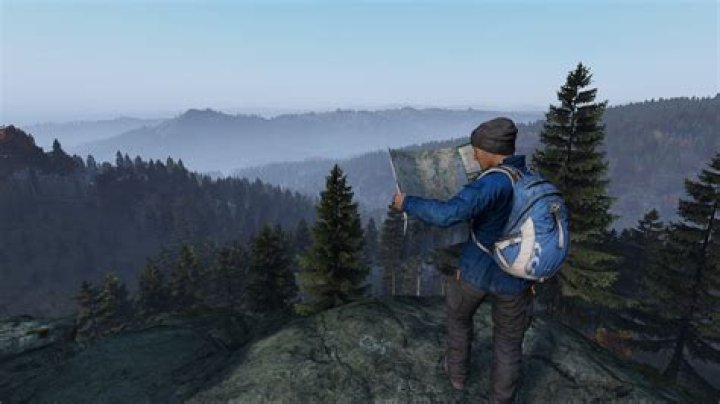 DayZ Solo Mode