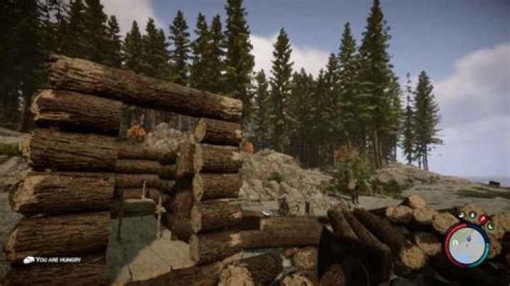Do Trees Regrow in Sons of the Forest? - Answered