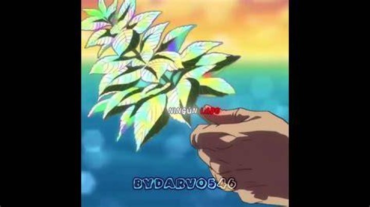 dragon-ball-super-dvd
