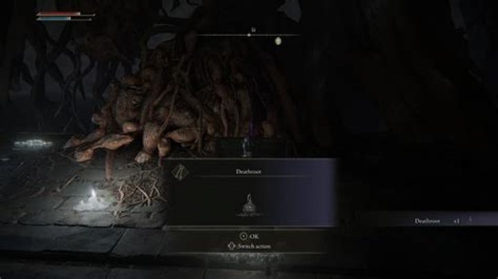 
Elden Ring Deathroot Locations: Where to Find All Deathroots for Gurranq