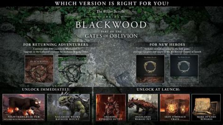
Elder Scrolls Online: Blackwood Purchase and Pre-Order Guide – Which Edition is For You