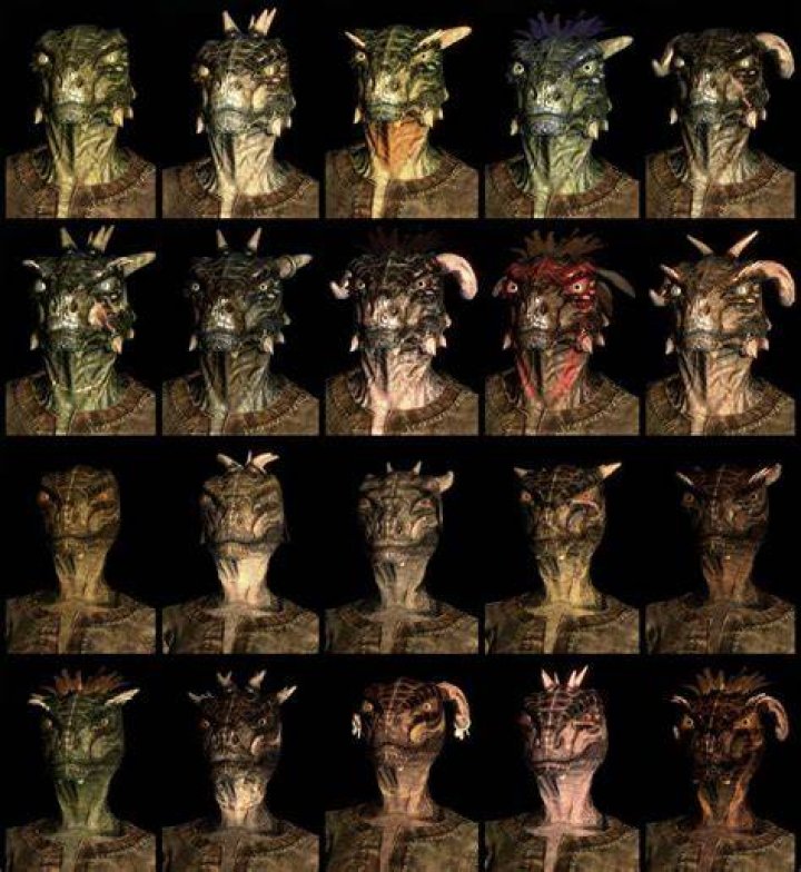 
Elder Scrolls V: Skyrim Race Presets