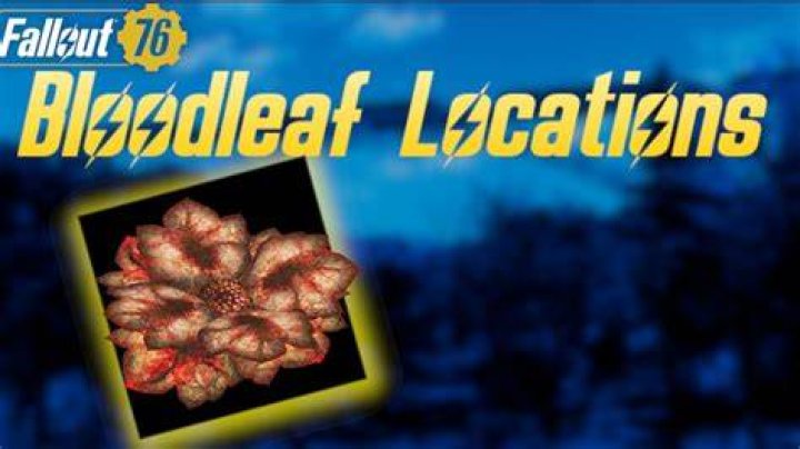 Fallout 76 Bloodleaf | Where to find Bloodleaf
