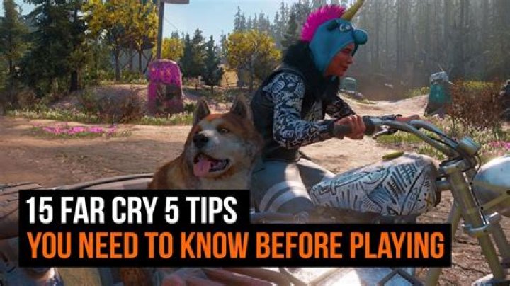 Far Cry New Dawn Tips | Beginner's guide