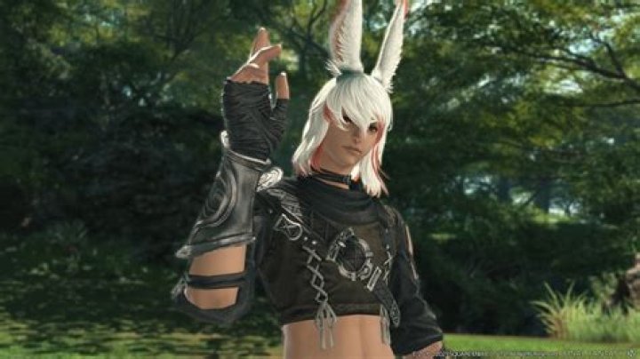 
FFXIV: How to Get the Starbird Minion