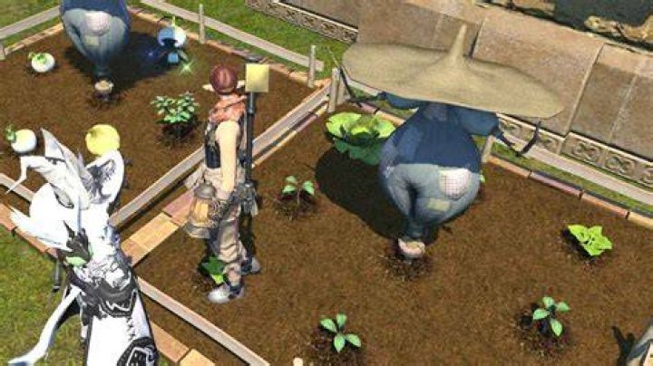 
Final Fantasy XIV – How to Get Gysahl Greens