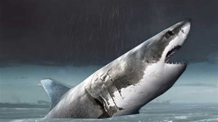 
Giant Megalodon Shark discovered on Nansha in Battlefield 4 Naval Strike
