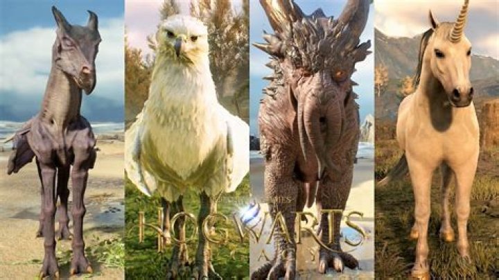 Hogwarts Legacy To Feature Riding Magical Creatures As Mounts?