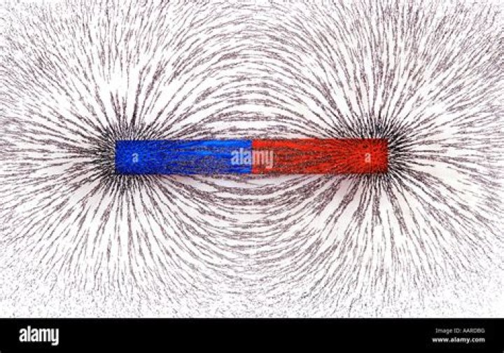 Magnet