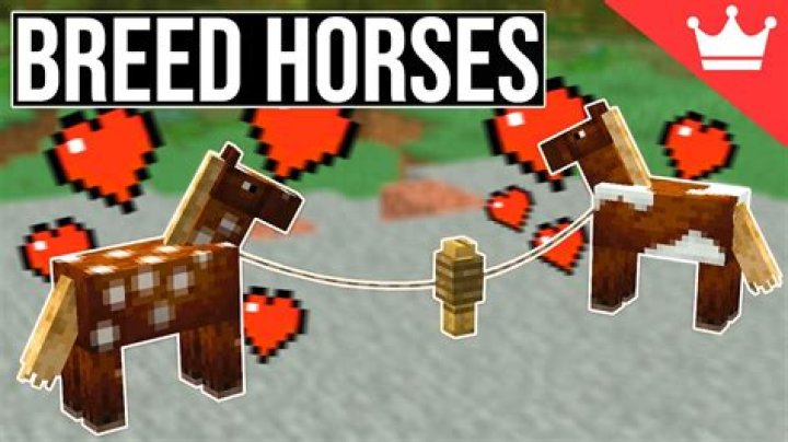 
Minecraft – How to Breed Horses