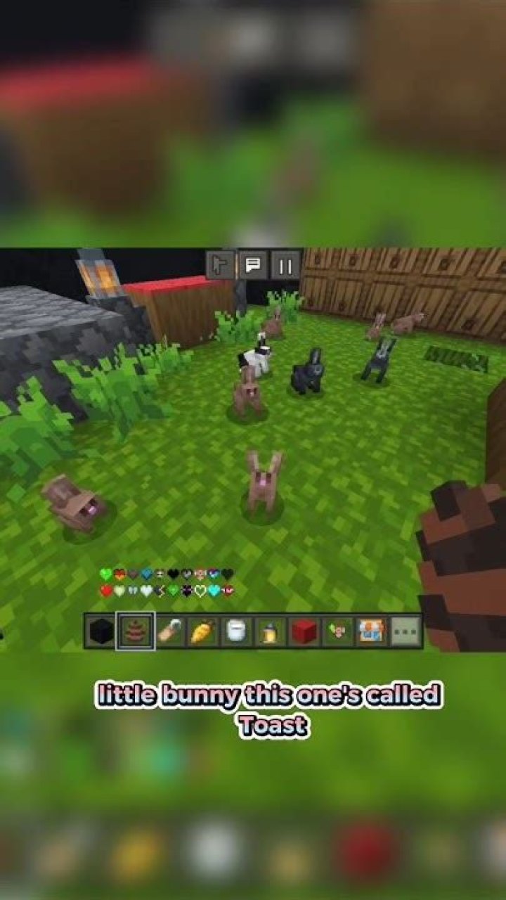 minecraft-bunnies