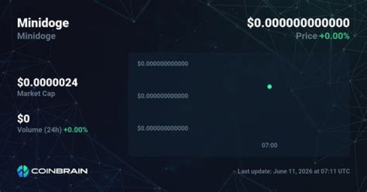 MiniDoge Coin crypto token explained