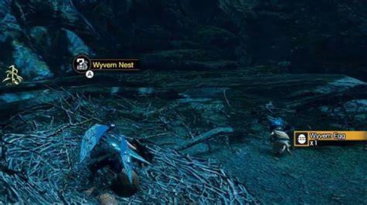 
Monster Hunter Rise: How to Get Quality Wyvern Egg