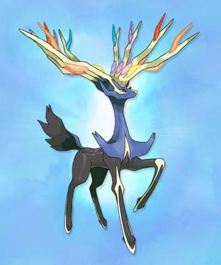 New Pokemon X & Y Footage Shows Off 3D Models And New Adversaires