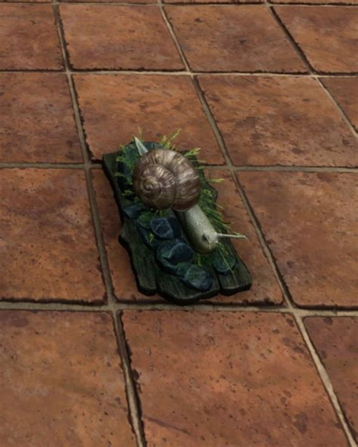 New World Aquatic Snail Item Description