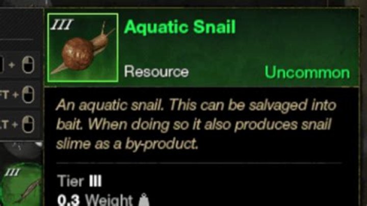 New World Snail Location: How to catch a snail for the Baited quest