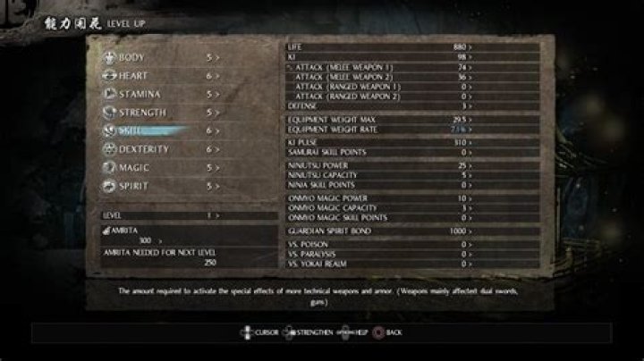 
Nioh Guide: How To Level Up & Which Stats To Focus On