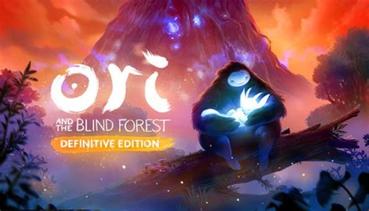 
Ori And The Blind Forest: Definitive Edition PC Delayed