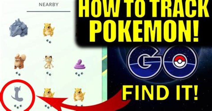 
Pokemon Go Guide: How to Track Pokemon
