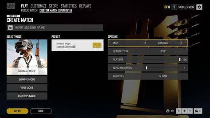 PUBG Custom Matches Paywall: Is PUBG Charging Money for Custom Matches?