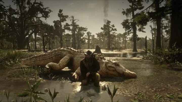 Red dead redemption 2 alligator locations