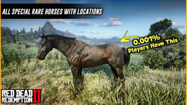 
Red Dead Redemption 2: Where to Find Rare Horses