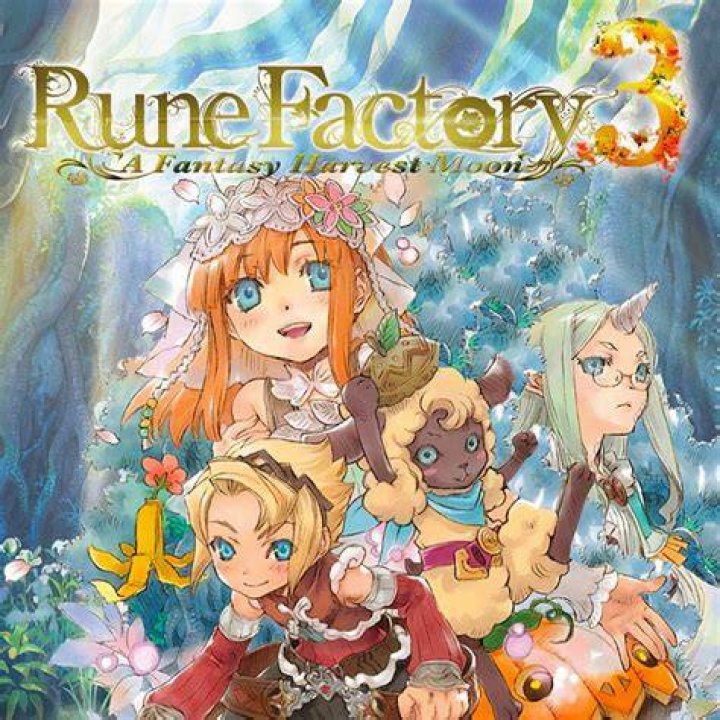 Rune Factory 3: A Fantasy Harvest Moon DS Cheats