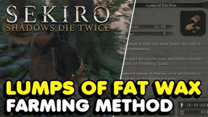 Sekiro Lump of Fat Wax Farming Location