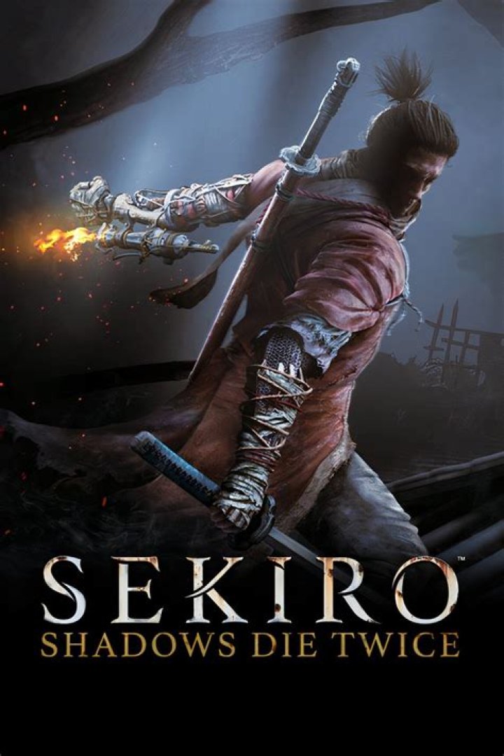 Sekiro: Shadows Die Twice File Size | How much space do I need on my hard drive?