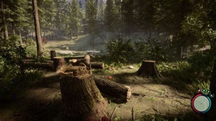 Sons of the Forest: Do Trees Grow Back?