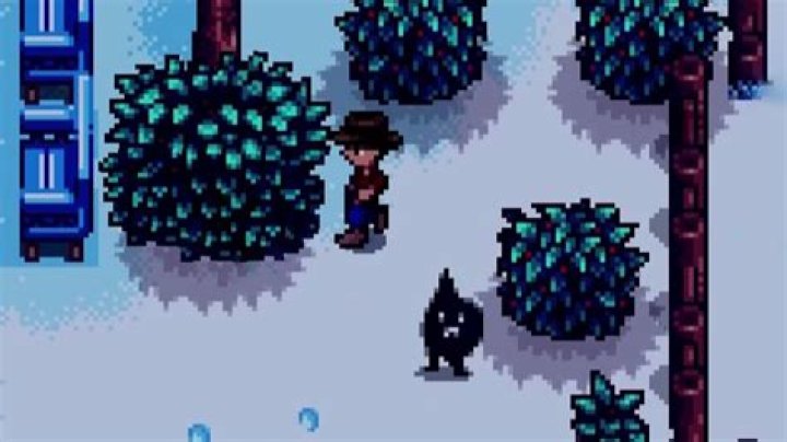 Stardew Valley A Winters Mystery Shadow Guy Location
