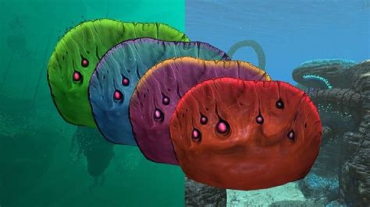 Subnautica Below Zero: Where to find Table Coral