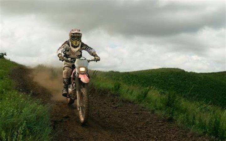 The Best Pit Bikes - GameRevolution
