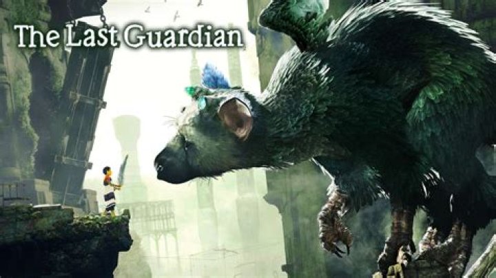 
The Last Guardian Review