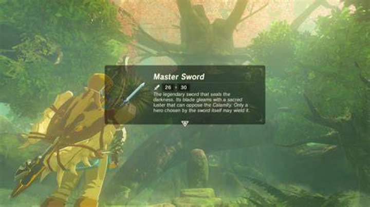
The Legend of Zelda: Breath of the Wild Guide: Where to Get the Master Sword