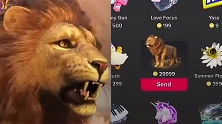TikTok Lions Price: How Much Is the Lion Worth in US $ And UK £?