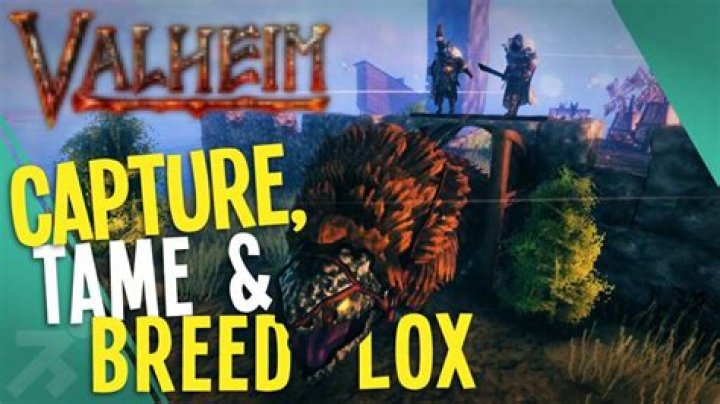 Valheim how to tame lox
