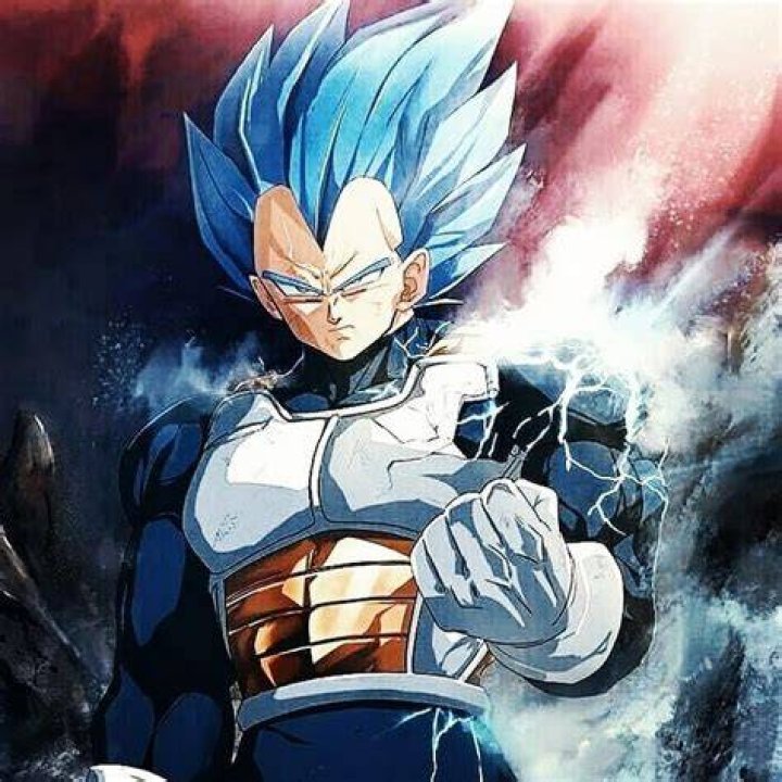 vegeta-san