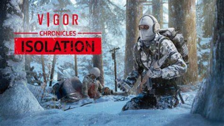 Vigor 1.1 Update
