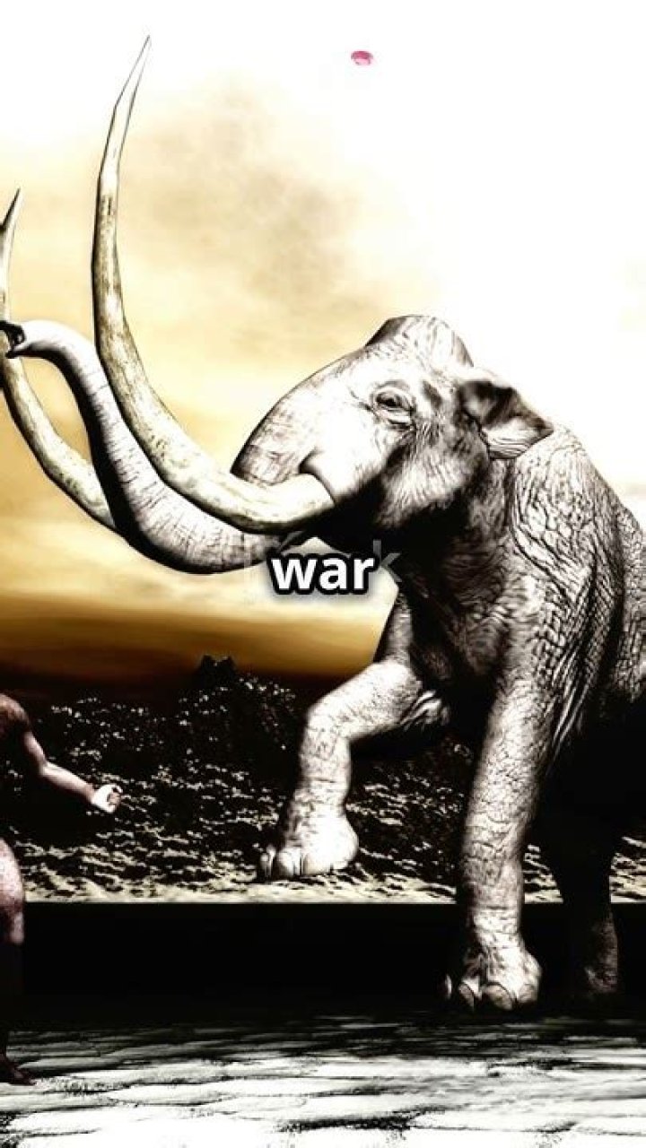 Hannibal Coming To Total War Rome 2 War-Elephants