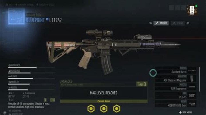 Weapon Customization